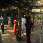 Vraj-Yatra-2014- (2464)